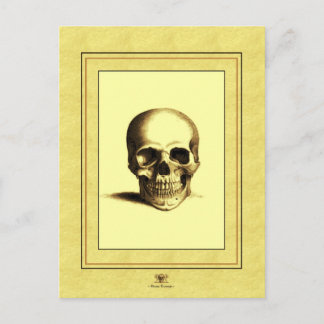 Antiek schedel briefkaart