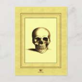 Antiek schedel briefkaart (Voorkant)