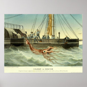 Antiek schip vangst reuzeninktvis poster