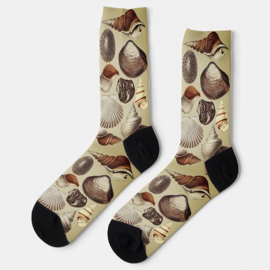 Antiek Seashell Crew Socks Sokken (Links)