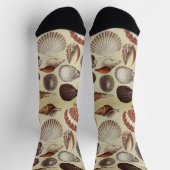 Antiek Seashell Crew Socks Sokken (Top)