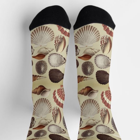 Antiek Seashell Crew Socks Sokken (Top)
