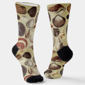 Antiek Seashell Crew Socks Sokken (Gebogen)