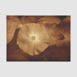  Antiek Sepia Floral Morning Glory Tissuepapier