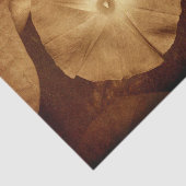  Antiek Sepia Floral Morning Glory Tissuepapier (Detail)