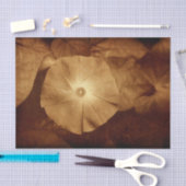  Antiek Sepia Floral Morning Glory Tissuepapier (Craft)