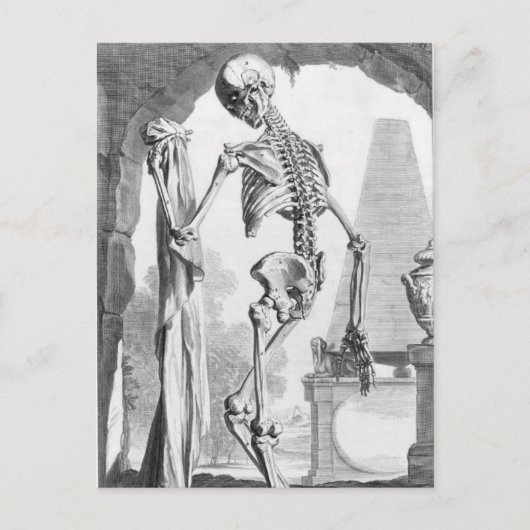 Antiek Skelet Briefkaart (Voorkant)