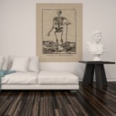 Antiek Skelet Humaan Anatomie Poster