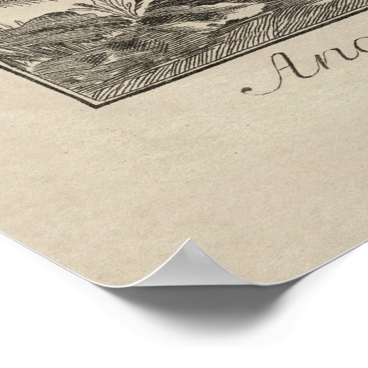 Antiek Skelet Humaan Anatomie Poster (Hoek)