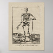 Antiek Skelet Humaan Anatomie Poster (Voorkant)