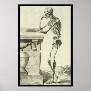 Antiek skelet, menselijke anatomie door Denis Dide Poster