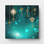 Antiek Skeleton Keys op groene achtergrond Fotoplaat (Voorkant)