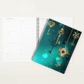 Antiek Skeleton Keys op groene achtergrond Planner (Display)