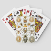 Antiek spinnen of spinachtigen door Ernst Haeckel Speelkaarten (Achterkant)