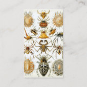 Antiek spinnen of spinachtigen door Ernst Haeckel Visitekaartje (Achterkant)