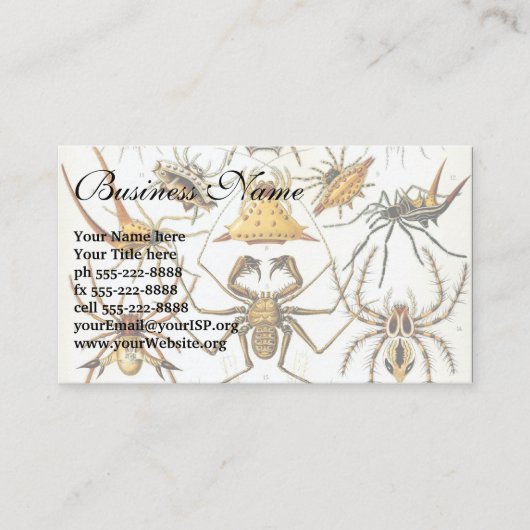 Antiek spinnen of spinachtigen door Ernst Haeckel Visitekaartje (Voorkant)
