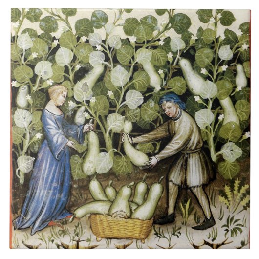 ANTIEK SQUASH HARVEST TEGELTJE (Voorkant)