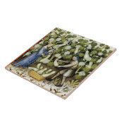 ANTIEK SQUASH HARVEST TEGELTJE (Zijkant)