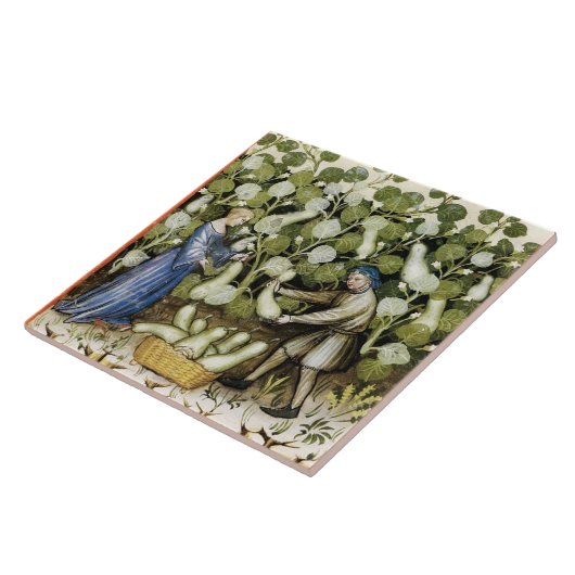 ANTIEK SQUASH HARVEST TEGELTJE (Zijkant)