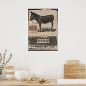 Antiek staart op de ezel poster (Keuken)