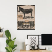 Antiek staart op de ezel poster (Thuiskantoor)