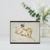 Antiek sterren sterrenkundige kaart sterrenkunde (Staand voorkant)