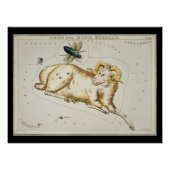 Antiek sterren sterrenkundige kaart sterrenkunde perfect poster (Voorkant)