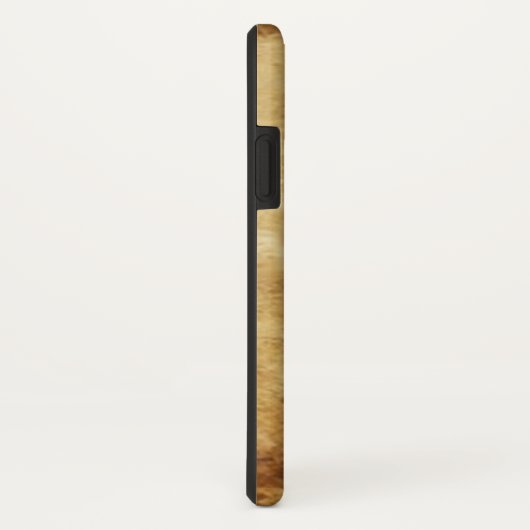 ANTIEK STREEFCIJFERS 17 / STAR Case-Mate iPhone CASE (Achterkant/rechts)