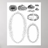 Antiek tandkaart Print Poster (Voorkant)