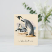 Antiek  tekening Emperor Penguin Briefkaart (Staand voorkant)
