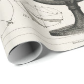 Antiek tekening van  astrologische bollen cadeaupapier (Rol Hoek)