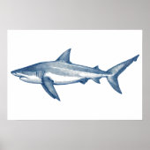 Antiek tekening van de grote witte haai poster (Voorkant)