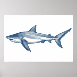 Antiek tekening van de grote witte haai poster