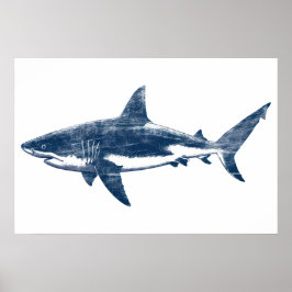 Antiek tekening van Grote Witte Haai II Poster