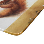 Antiek tekeningen van dieren, eekhoorn door Albrec Snijplank (Hoek)