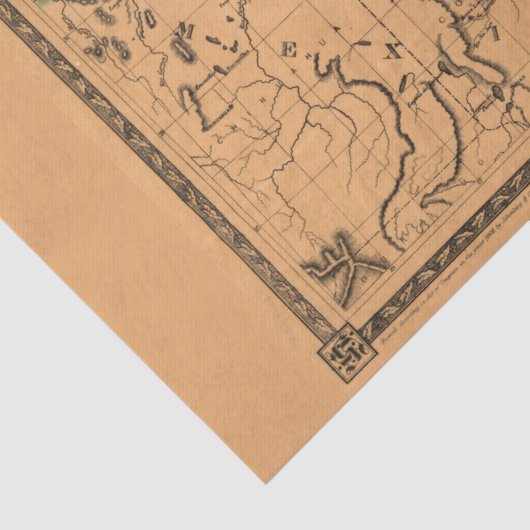 Antiek Texas Map #1 Tissuepapier (Detail)