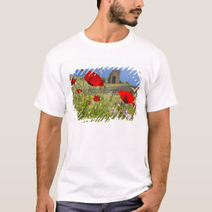 Antiek theater in Acropolis van Pergamon T-shirt
