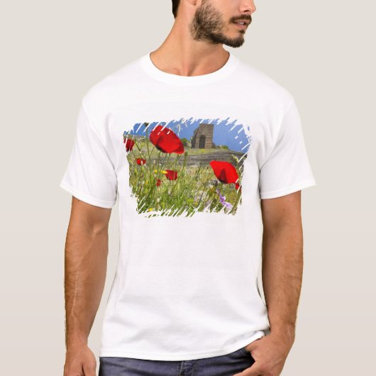 Antiek theater in Acropolis van Pergamon T-shirt (Voorkant)