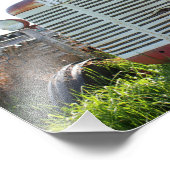 Antiek tractor foto afdruk (Hoek)