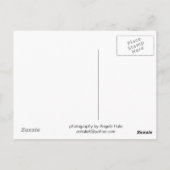 Antiek tractorcarmel-vallei, CA-Briefkaart Briefkaart (Achterkant)