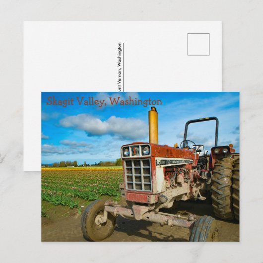 Antiek trekker op de Tulpvelden Briefkaart (Voorkant / Achterkant)