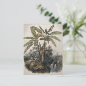 Antiek tropisch bananenbos |  Bota Briefkaart (Staand voorkant)