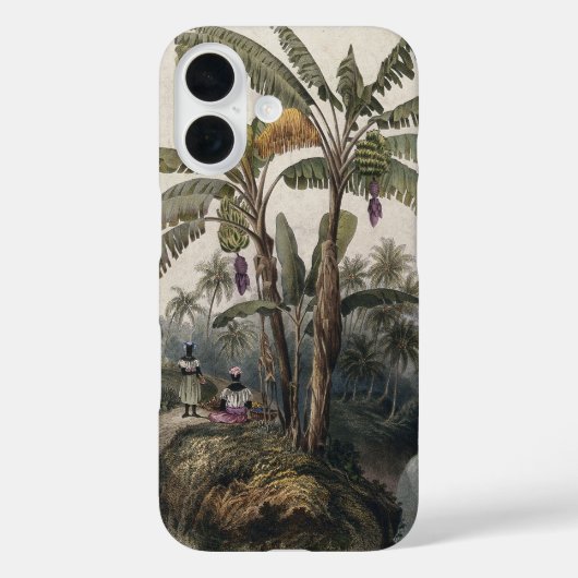 Antiek tropisch bananenbos |  Bota Case-Mate iPhone Case (Achterkant)