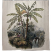 Antiek tropisch bananenbos |  Bota Douchegordijn (Voorkant)