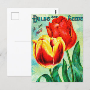 Antiek tuin reclame, geel rode tulpen briefkaart