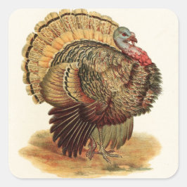 Antiek Turkije illustratie Thanksgiving Vierkante Sticker