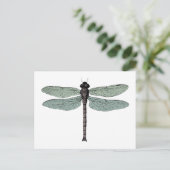 Antiek Typografische  dragonfly-illustratie Briefkaart (Staand voorkant)