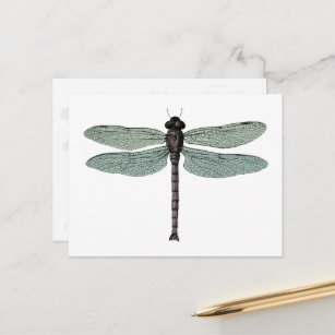 Antiek Typografische  dragonfly-illustratie Briefkaart