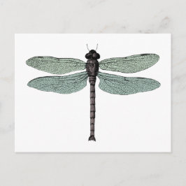 Antiek Typografische  dragonfly-illustratie Briefkaart