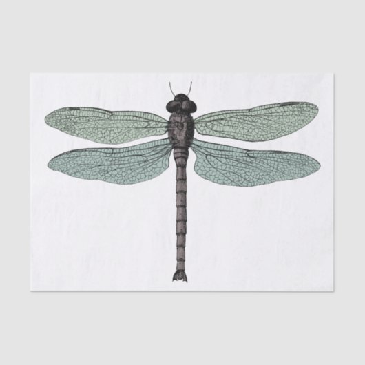 Antiek Typografische  dragonfly-illustratie Tissuepapier (Voorkant)